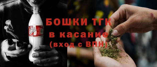 стафф Арсеньев