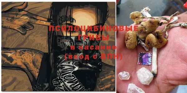 MDMA Аркадак