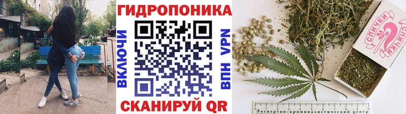 даркнет сайт  Тутаев  Конопля планчик 